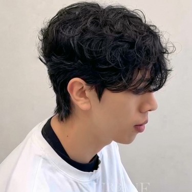 댄디컷
