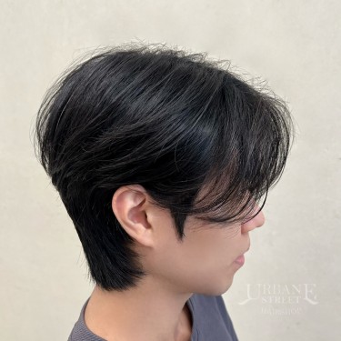 댄디컷