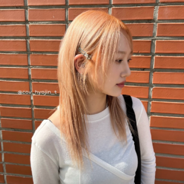 허쉬컷