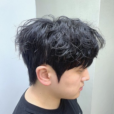 댄디컷