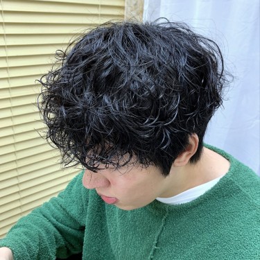 댄디컷