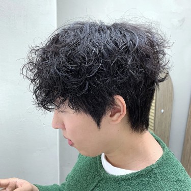 댄디컷