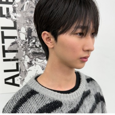 댄디컷