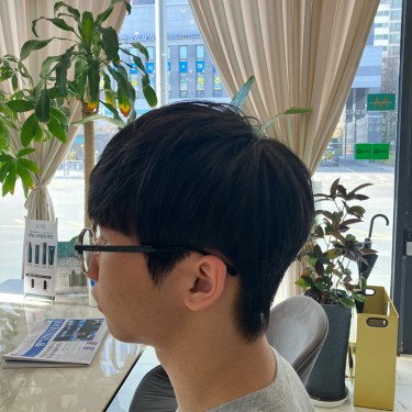 울프컷