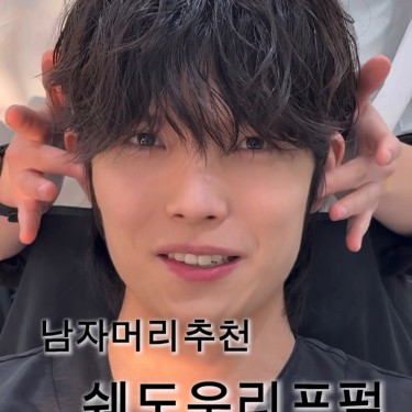 댄디컷