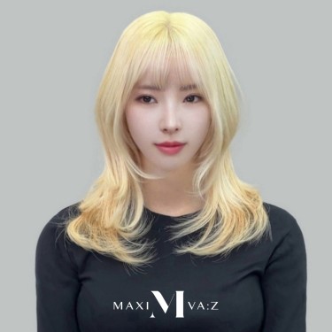브릿지