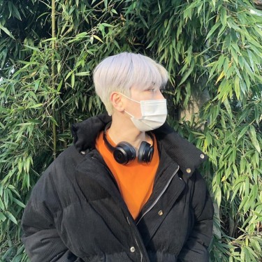 댄디컷
