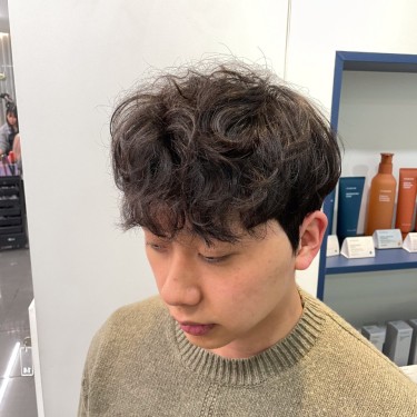 댄디컷