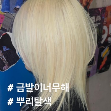 레이어드컷
