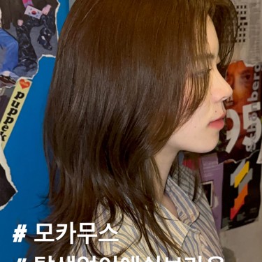 레이어드컷