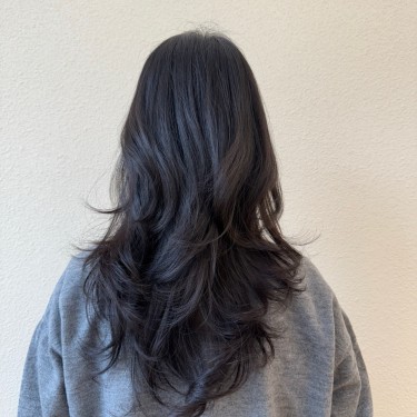 style image