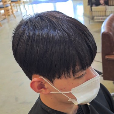 댄디컷
