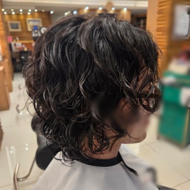 style image