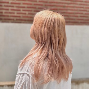 스타일
