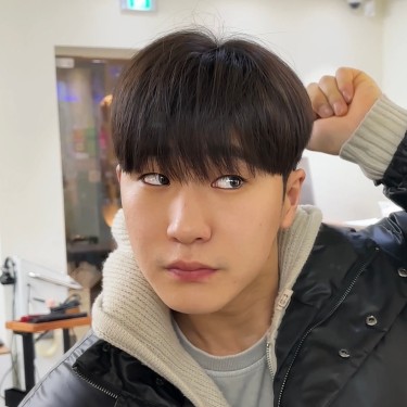 댄디컷