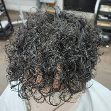 style image