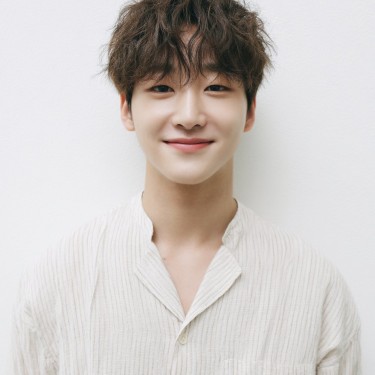 댄디컷