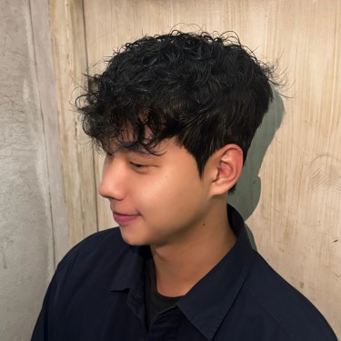 style image