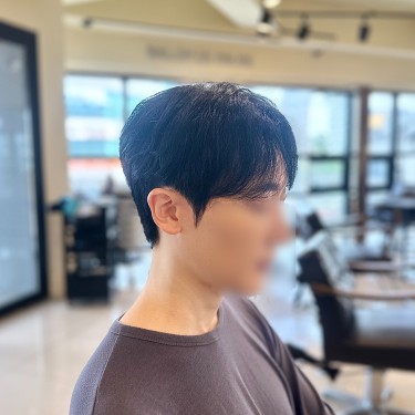 댄디컷