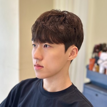 댄디컷