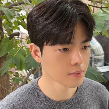 댄디컷