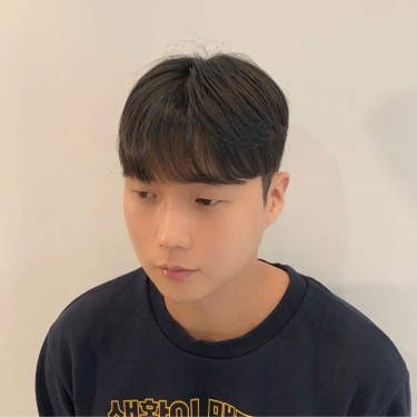 댄디컷