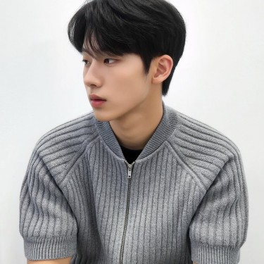 댄디컷