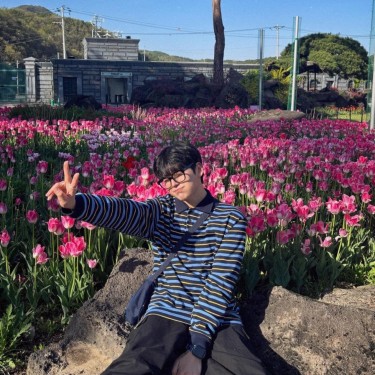 댄디컷