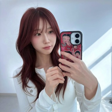 레드와인