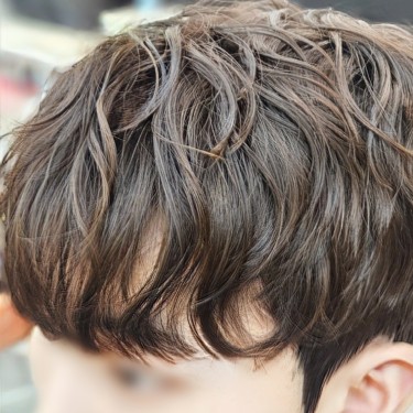 댄디컷