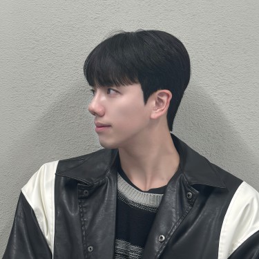 style image