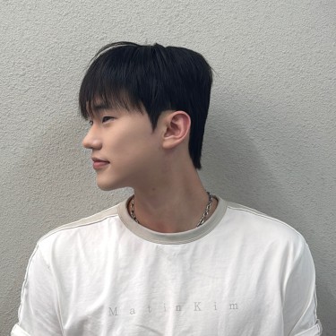 style image
