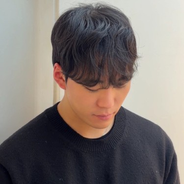 댄디컷