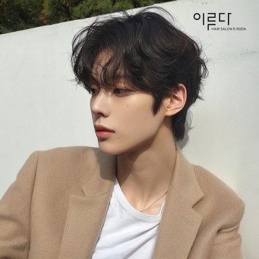 댄디컷