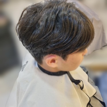 댄디컷
