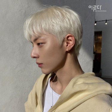 댄디컷