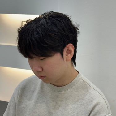 댄디컷