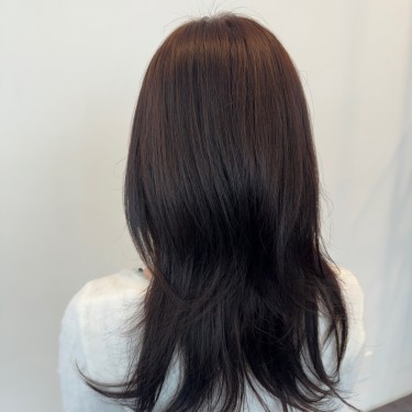 허쉬컷
