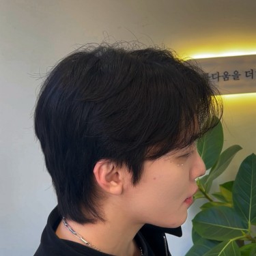 style image