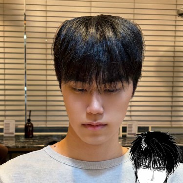 style image