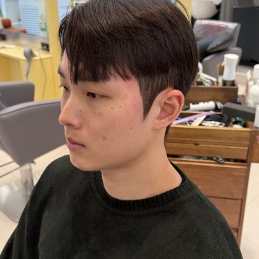 댄디컷