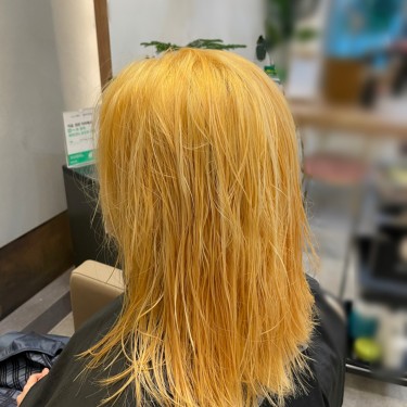 style image