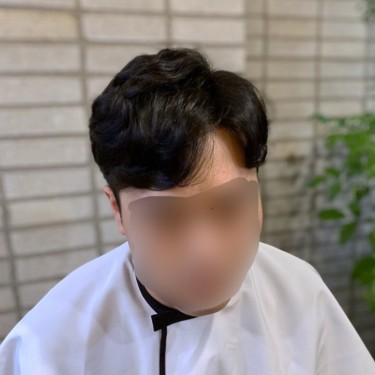 style image