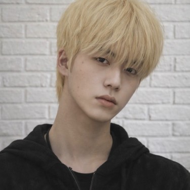 울프컷