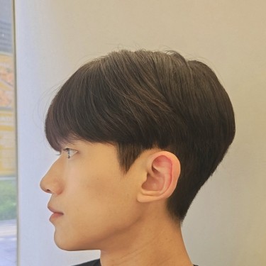 댄디컷