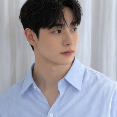 댄디컷