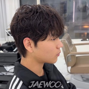 댄디컷