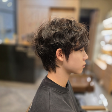 댄디컷