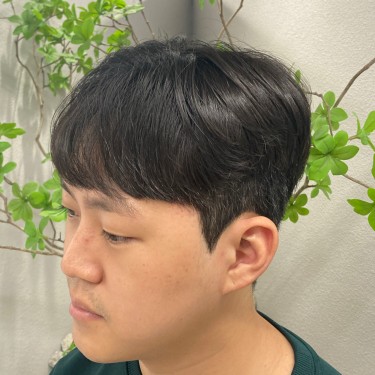 style image