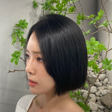 style image